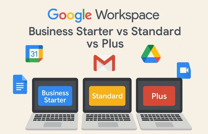Business vs Standard vs Plus